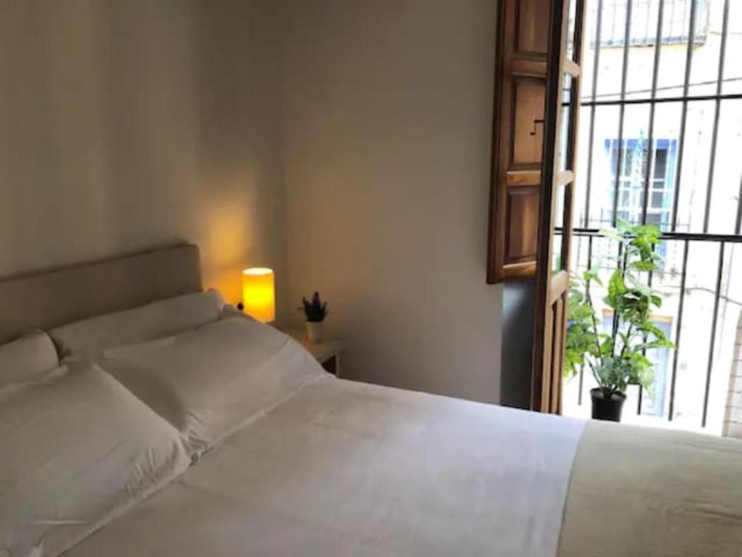 Apartamento Completo Reformado En Arco De Elvira - Centro Granada Exteriör bild